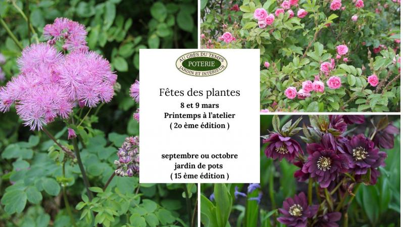 Fete des plantes